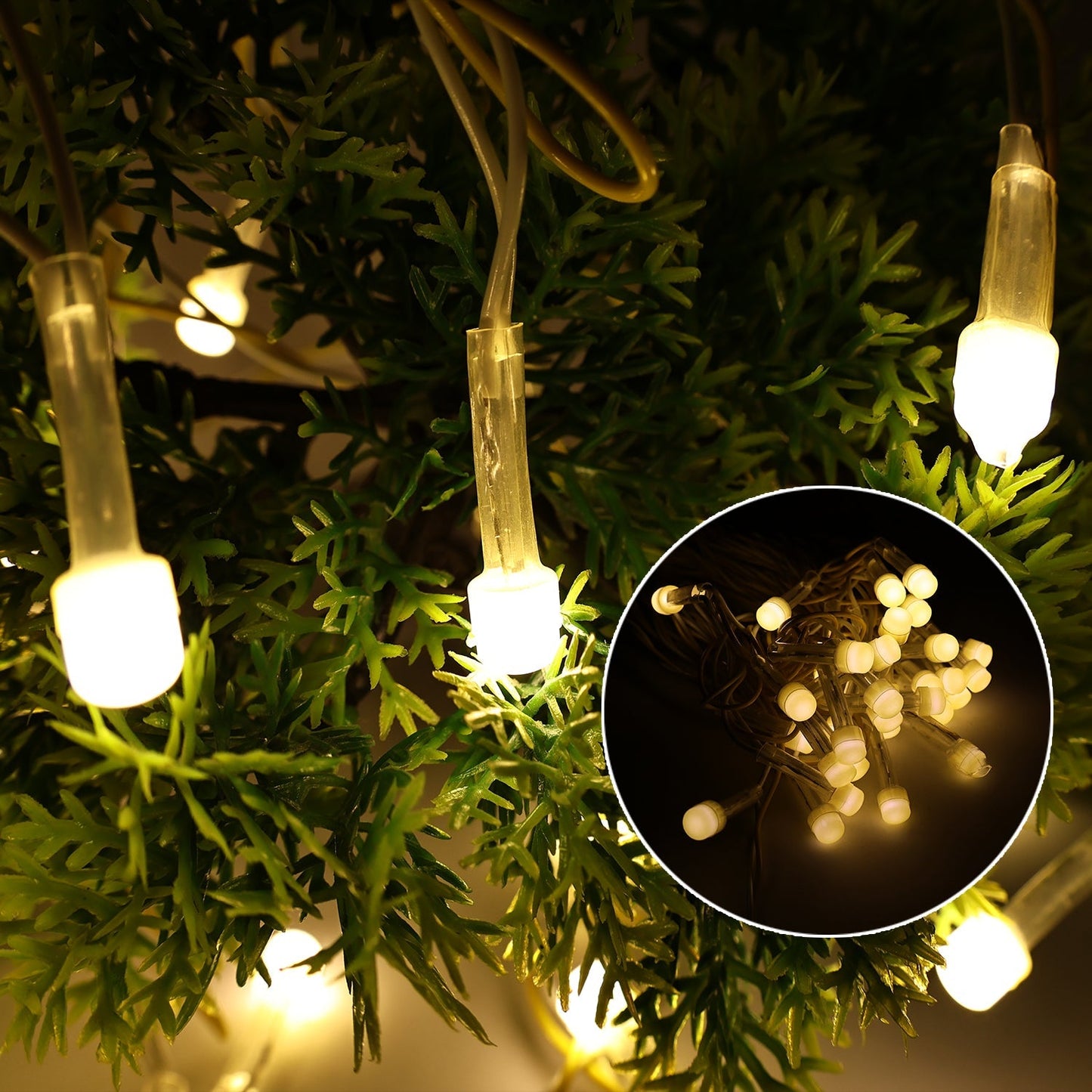 Multi-Color Decorative LED Lights