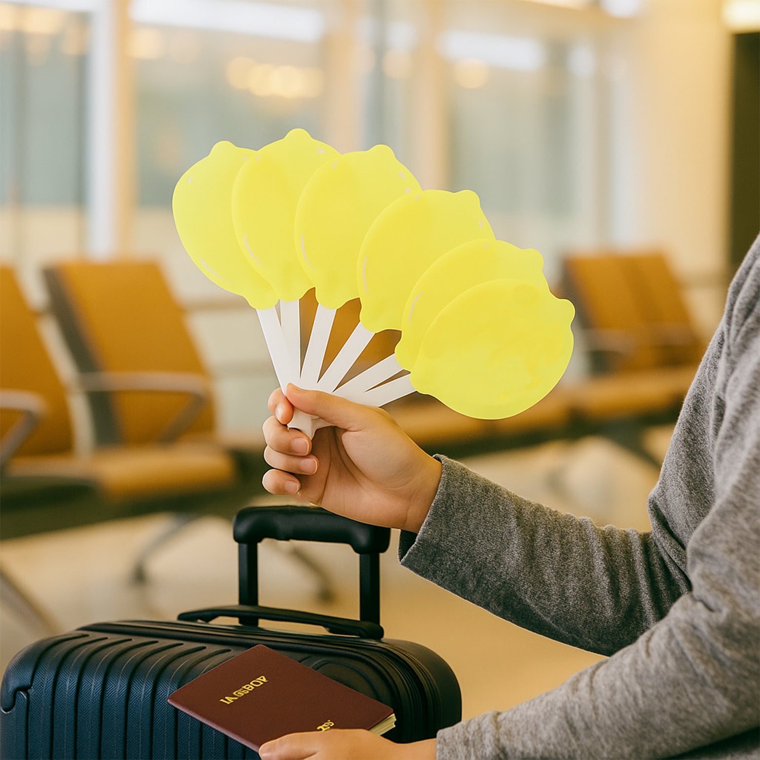 Hand Fan