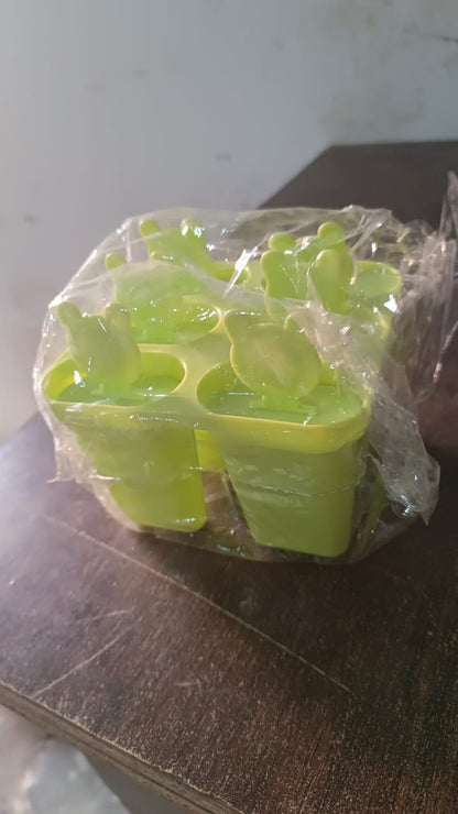 Plastic 6 Grid / Compartment sicle Ice Cream Mold (1 Pc)